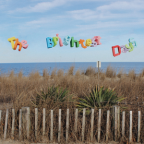 Album artwork for The Brightest Days by Origami Angel