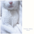 Album artwork for Diaries by Chestnut Bakery