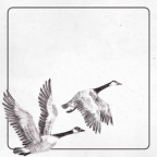 Album artwork for Geese by GoldenOak