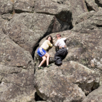 Album artwork for Walls by The Army, The Navy