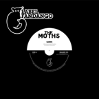 Album artwork for Games / Wild Birds / Valentine by The Moths