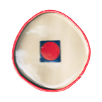 Album artwork for Virgin Lake [Explicit] by Philine Sonny