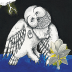 Album artwork for The Magnolia Electric Co. by Songs: Ohia