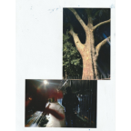 Album artwork for The Next Day by Gb