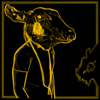 Album artwork for Roll The Bones X by Shakey Graves