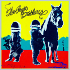 Album artwork for True Sadness by The Avett Brothers