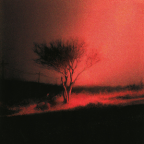 Album artwork for Piss In The Wind by Joji & Don Toliver
