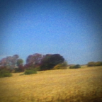 Album artwork for Benji by Sun Kil Moon