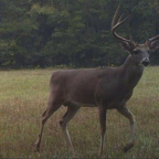 Album artwork for Slugger by Derby