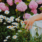 Album artwork for Keep It Bright by LAUNDRY DAY