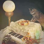 Album artwork for You Hide the Ghost by Carol Cleveland Sings