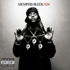Album artwork for 534 by Memphis Bleek