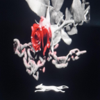 Album artwork for decay by amil raja