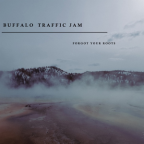 Album artwork for Forgot Your Roots by Buffalo Traffic Jam