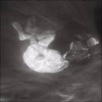 Album artwork for Glow by Alice Phoebe Lou