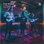 Album artwork for Post Animal on Audiotree Live by Post Animal
