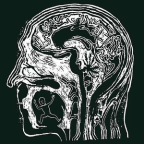 Album artwork for asking star by lots of hands