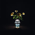 Album artwork for Renewal by Billy Strings