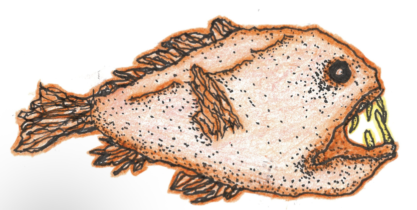 fish